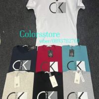 Мъжка тениска Calvin Klein кодSSA47, снимка 1 - Тениски - 40515291