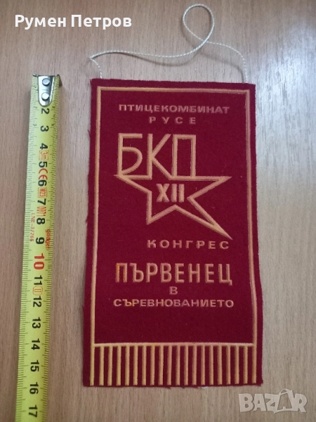 Награден флаг, БКП., снимка 1
