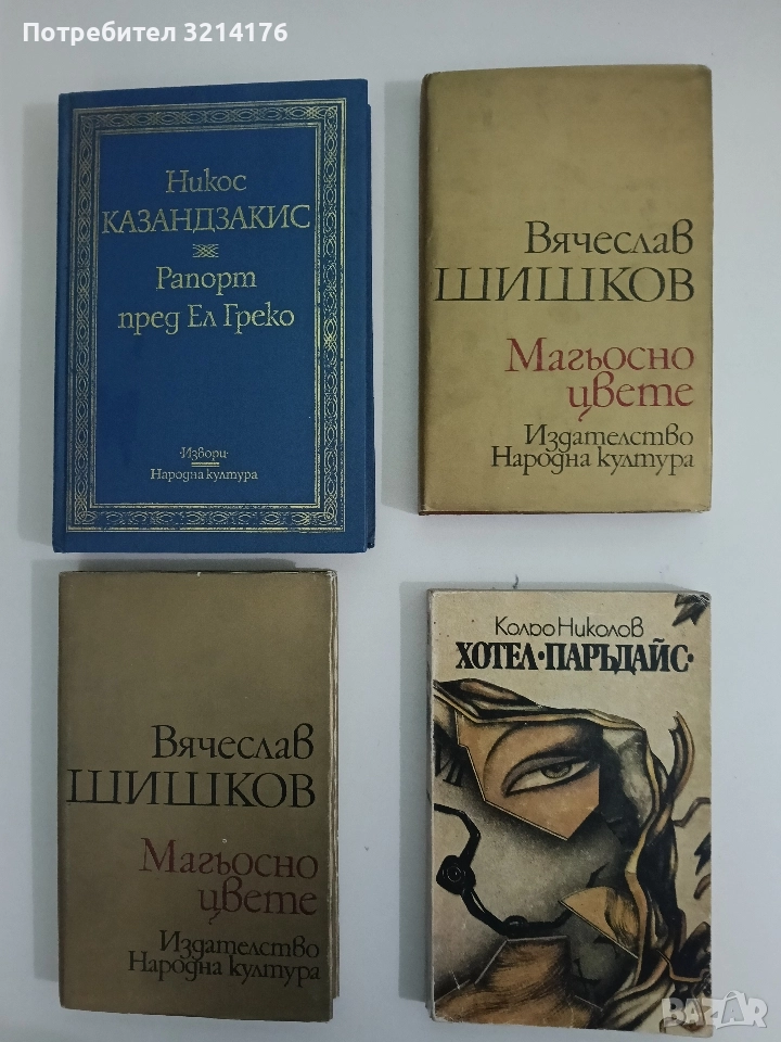 Хотел "Паръдайс" - Кольо Николов, снимка 1