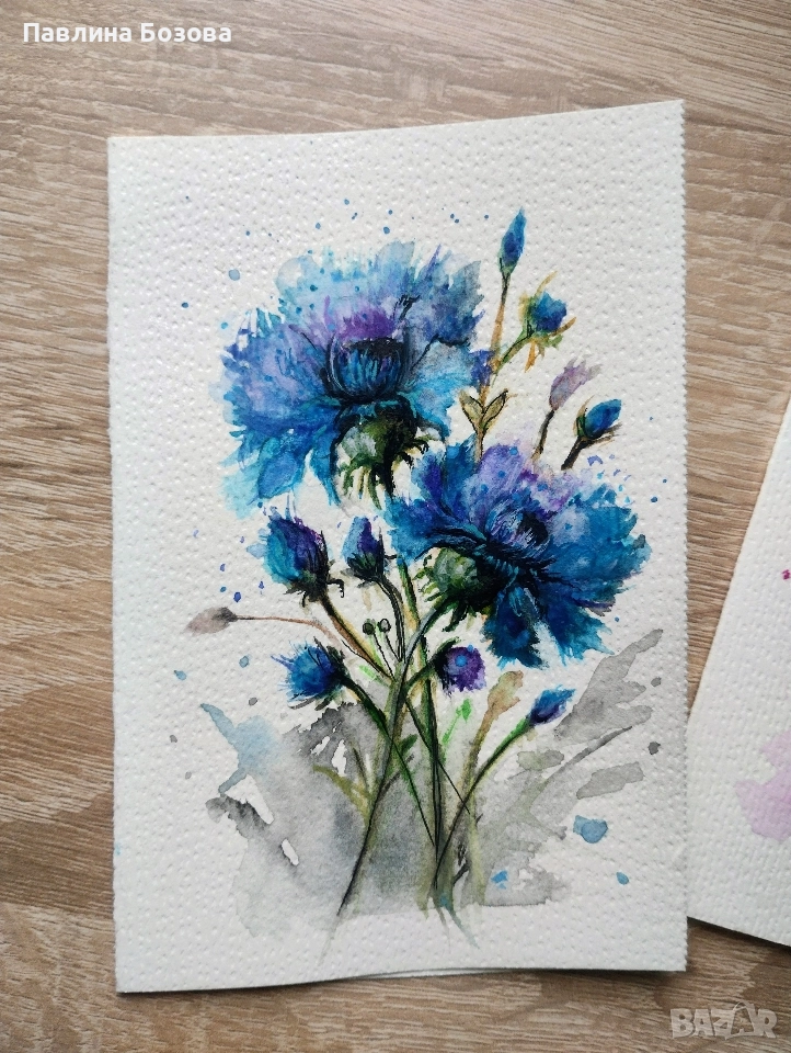 Картички Метличина ,,Синчец ,,, снимка 1