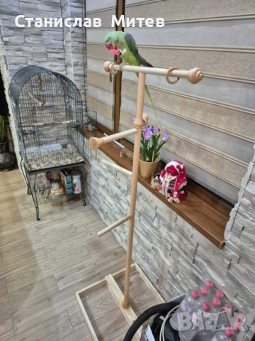 Кацалка за Папагали