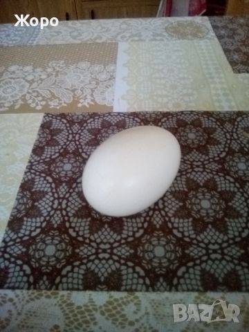гъши яйца оплодени за люпене, снимка 1 - Патици и гъски - 45738226