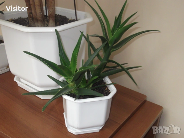 фотоапарат FujiFilm FinePix C10, снимка 18 - Фотоапарати - 54255057