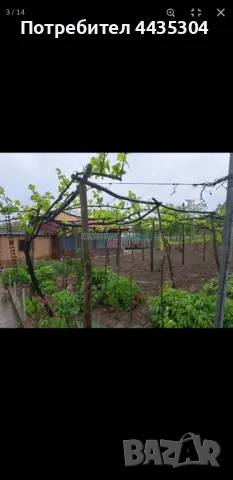 Къща в с.Александрия 37 000лв., снимка 2 - Къщи - 49917258