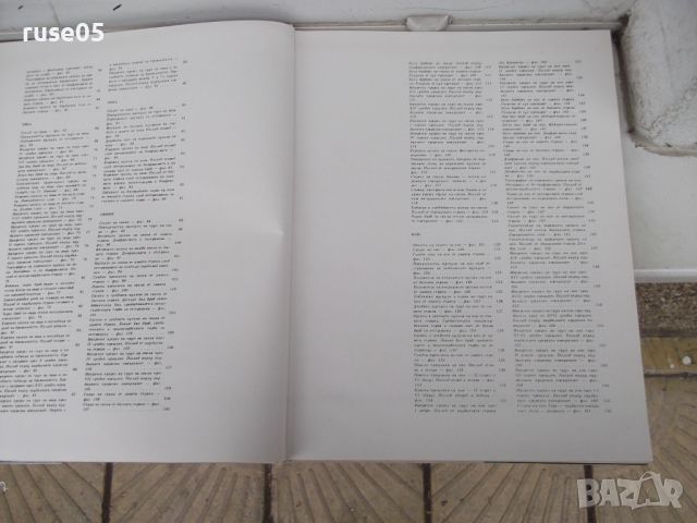 Книга"Атлас по топографска анатомия-II том-П .Попеско"-194с, снимка 4 - Специализирана литература - 45324637