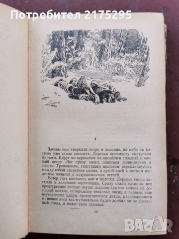 Повест за истинския човек-Б.Полевой-на руски изд.1955г, снимка 4 - Художествена литература - 46327896