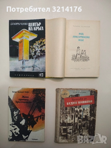 Център на кръга - Димитър Начев