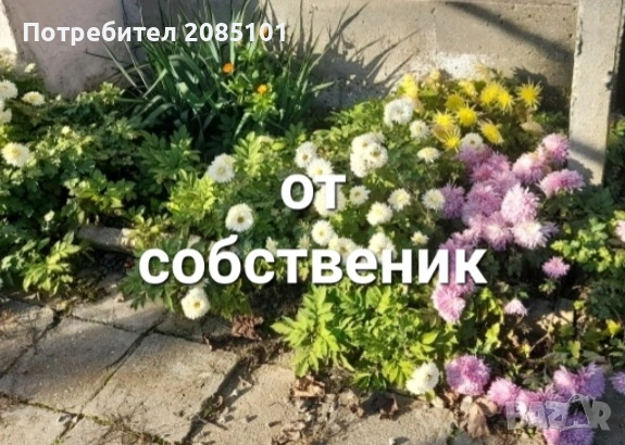 Собственик продава къща с двор, снимка 8 - Къщи - 53606122