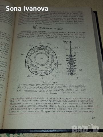 Ентомология, Земиздат, 1962 г., снимка 4 - Други - 45699757