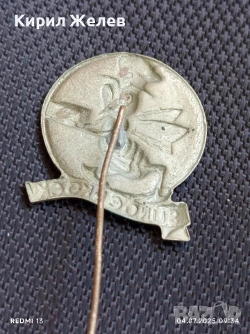 Две редки значки НИДЕРЛАНДИЯ SLINGERKOEK за КОЛЕКЦИЯ ДЕКОРАЦИЯ 29768, снимка 4 - Колекции - 50902651