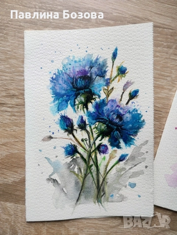 Картички Метличина ,,Синчец ,,