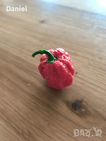 Carolina Reaper Каролина Рипер, снимка 4 - Градински цветя и растения - 47206890