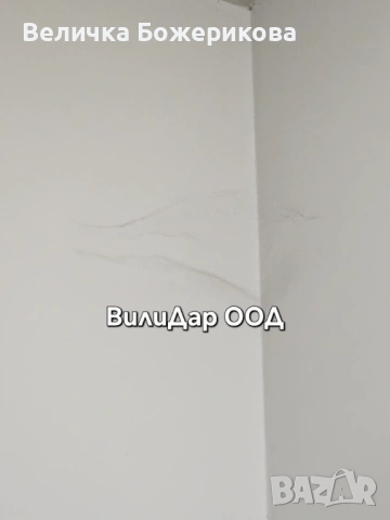 Почистване на вход, снимка 10 - Почистване на входове - 53445390