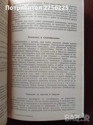 Справочник по овощарство, снимка 7 - Специализирана литература - 50611382
