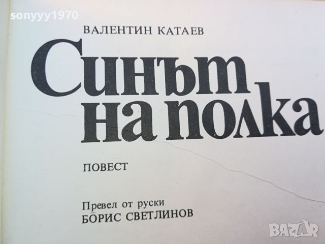 СИНЪТ НА ПОЛКА-КНИГА 0804241011, снимка 9 - Други - 45169886