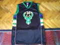 Баскетболна тениска#34Gianis Antetokounmpo Milwaukee Bucks NBA размер ХЛ, снимка 1 - Баскетбол - 45625832