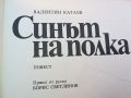 СИНЪТ НА ПОЛКА-КНИГА 0804241011, снимка 9