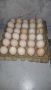 Домашни яйца , снимка 1 - Кокошки и пуйки - 46042676