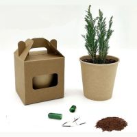 Комплект за отглеждане на растение, снимка 1 - Ученически пособия, канцеларски материали - 45386682