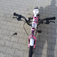 PASSATI Алуминиев велосипед 18" GUARDIAN розов, снимка 9 - Велосипеди - 45489857
