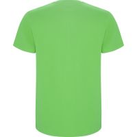 Нова детска тениска с катериците Чип и Дейл в зелен цвят, Disney, снимка 2 - Детски тениски и потници - 44972400