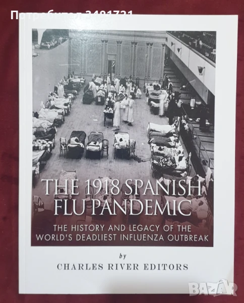 Историята и последствията от пандемията от испански грип през 1918 / The 1918 Spanish Flue Pandemic, снимка 1