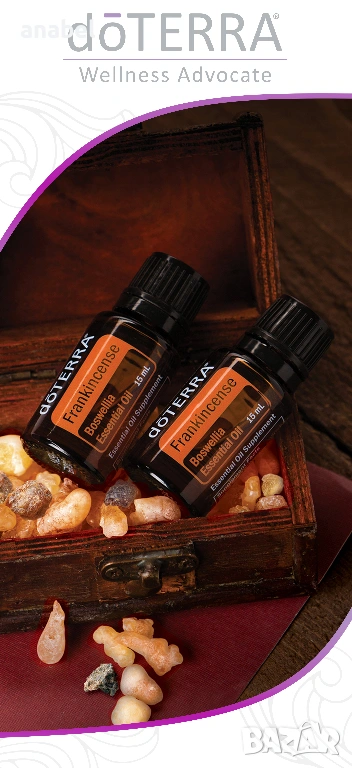PROMO до 15 януари БЕЗПЛАТНО етерично масло Frankincense (Тамян), снимка 1