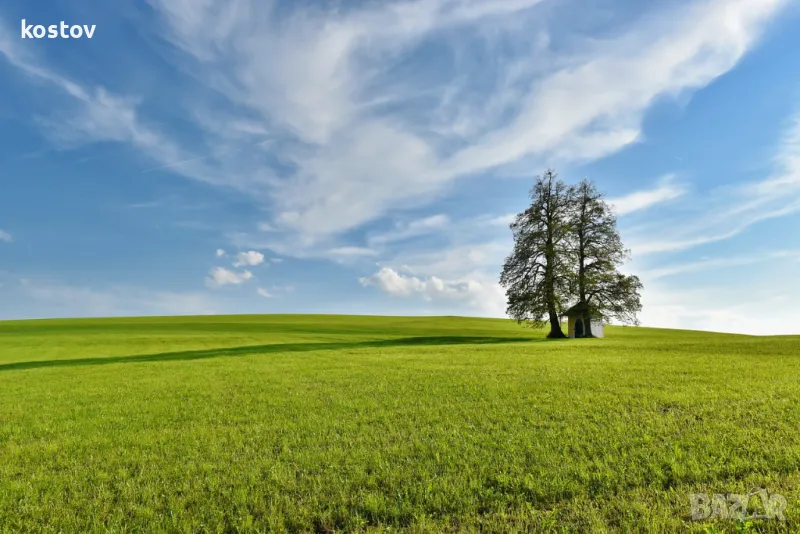 Продавам ливада в село Изворово община Харманли, снимка 1