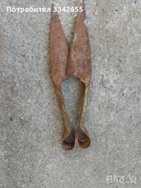 Ножица за стригане на овце, снимка 1