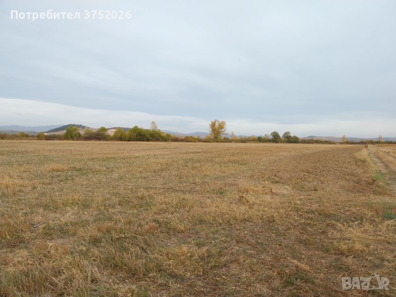 Земеделска земя с.Лесново , снимка 1