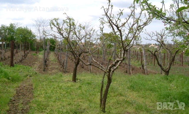 Купете новия си имот в анклава на Ведрина!, снимка 5 - Къщи - 53756929