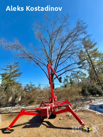 Рязане на Опасни и Високи Дървета в Цялата Страна, снимка 4 - Други ремонти - 53558542