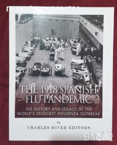 Историята и последствията от пандемията от испански грип през 1918 / The 1918 Spanish Flue Pandemic, снимка 1