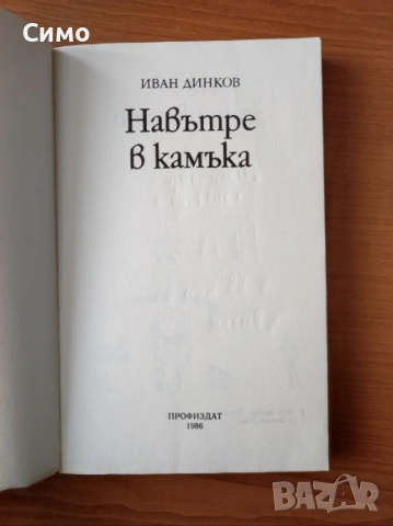 Навътре в камъка - Иван Динков, снимка 3 - Българска литература - 53143392