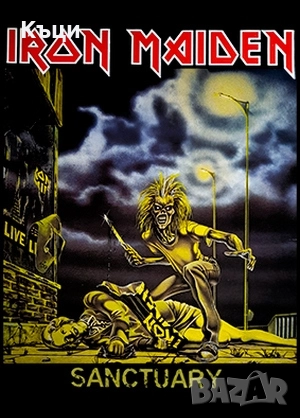 Тениски на Айрън Мейдън. , снимка 2 - Тениски - 51863650