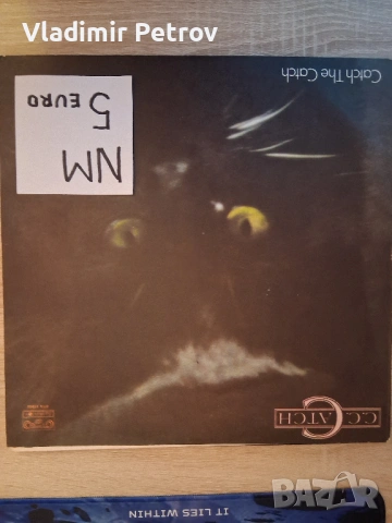 Продавам грамофонни плочи, снимка 15 - Грамофонни плочи - 53231019