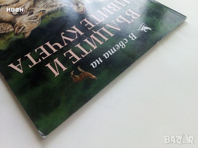 В света на - Вълците и дивите кучета - 2003г., снимка 12 - Енциклопедии, справочници - 45625469