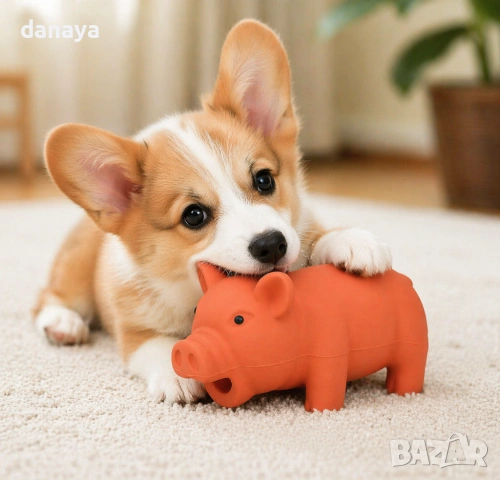6589 Прасенце играчка за куче – гумена играчка със звук и грухтене 14 см