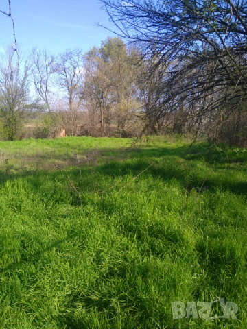 Продавам масивна тухлена къща, 95 кв.м в село Корен, област Хасково, снимка 4 - Къщи - 53058373