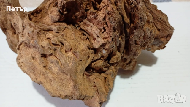 Мангров корен, снимка 3 - Оборудване за аквариуми - 53955574