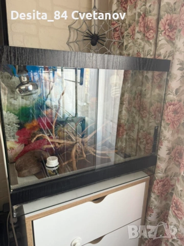 Терариум , снимка 2 - Терариуми и оборудване - 53032627