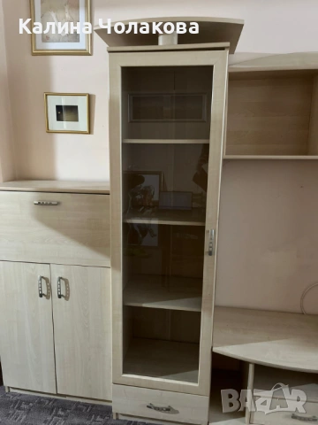 Холна Секция (Бежова), снимка 3 - Секции и витрини - 53368394