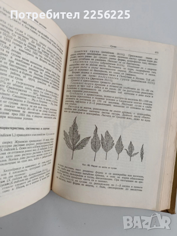 Растениевъдство 1957г, снимка 9 - Специализирана литература - 52677954