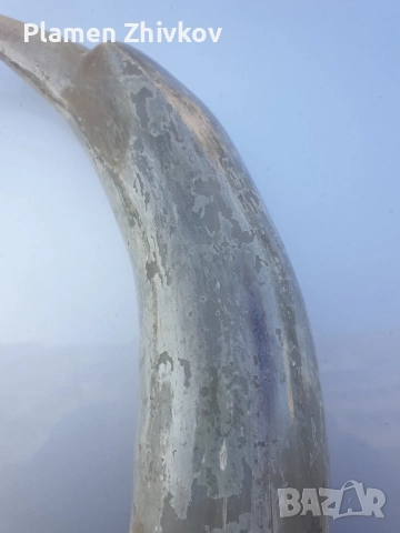 птица от естествен рог - жерав, снимка 6 - Антикварни и старинни предмети - 52522287