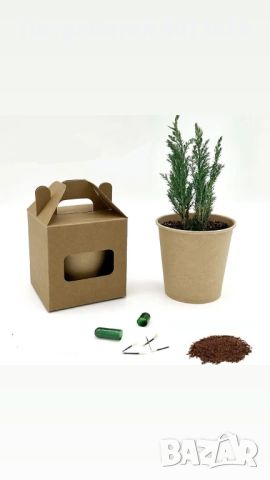 Комплект за отглеждане на растение, снимка 1 - Ученически пособия, канцеларски материали - 45386682