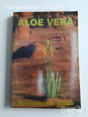 Aloe Vera