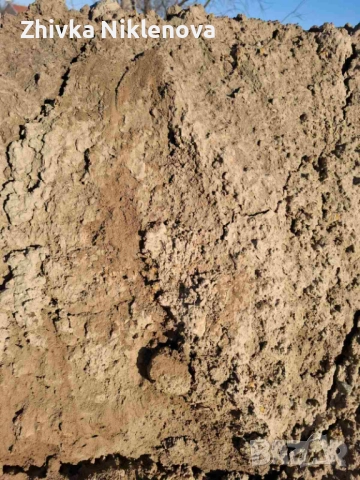 Хумус, снимка 2 - Тор и почвени смеси - 52818687