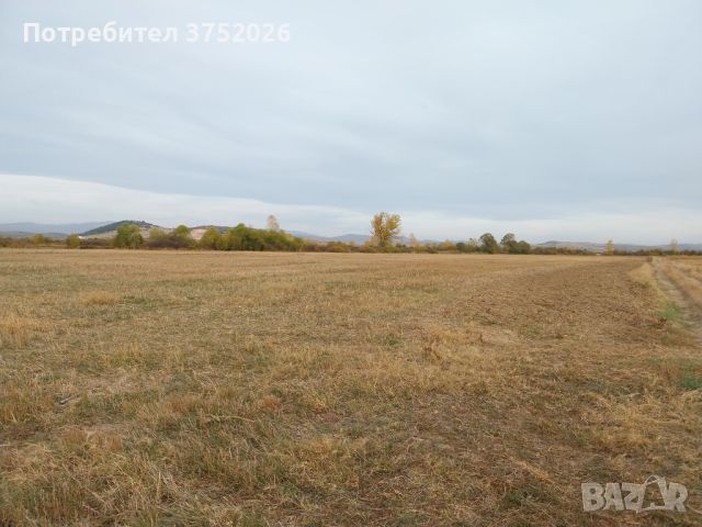 Земеделска земя с.Лесново 