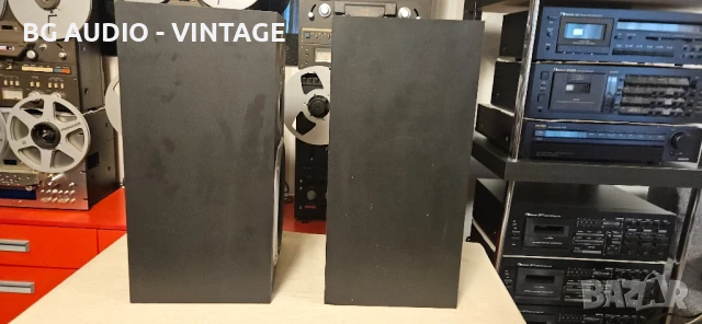 Technics SB-3050 тонколони, снимка 4 - Тонколони - 50724302
