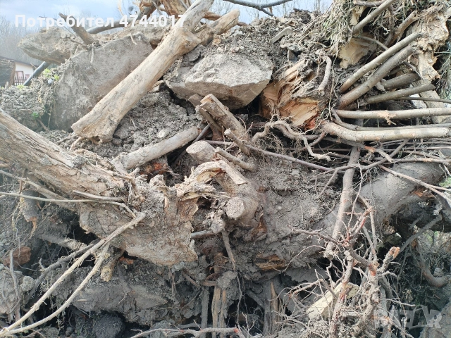 Корени от Орех , снимка 6 - Маси - 53940890